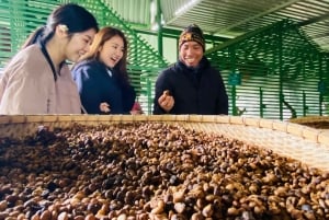 Da Lat: colina de Samten, cascatas e passeio do café