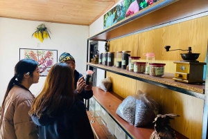 Da Lat: colina de Samten, cascatas e passeio do café