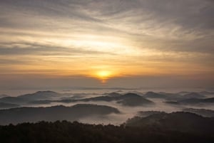 Далат: поход на рассвете, завтрак и трансфер включены