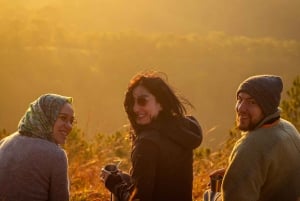 Далат: поход на рассвете, завтрак и трансфер включены