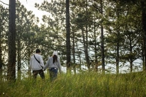 Далат: поход на рассвете, завтрак и трансфер включены