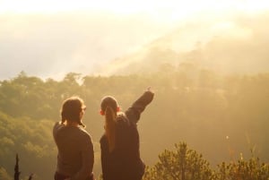 Далат: поход на рассвете, завтрак и трансфер включены