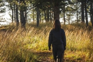 Далат: поход на рассвете, завтрак и трансфер включены