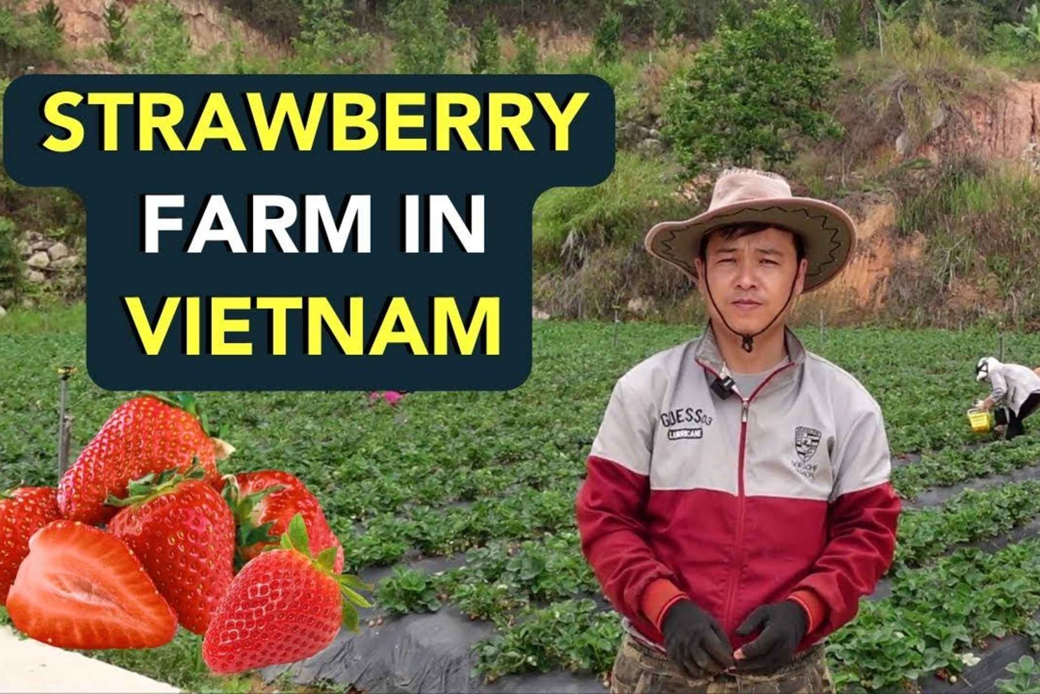 Da Lat: Sonnenaufgangsfotografie & malerische morgendliche Tour