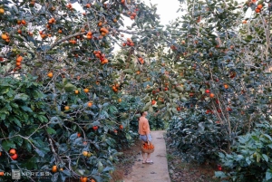 Da Lat: Sunrise Photography & Scenic Morning Tour