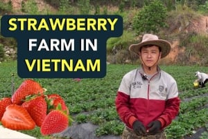 Da Lat: Sunrise Photography & Scenic Morning Tour