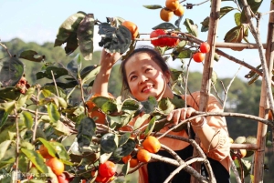 Da Lat: Sunrise Photography & Scenic Morning Tour