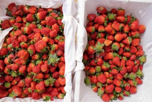 Da Lat: Sunrise Photography & Scenic Morning Tour