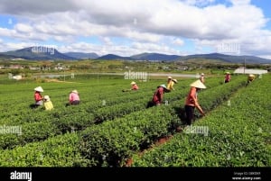 Da Lat: Sunrise Photography & Scenic Morning Tour