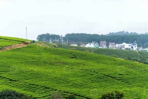 Da Lat: Sunrise Photography & Scenic Morning Tour