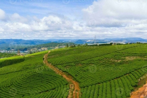 Da Lat: Sunrise Photography & Scenic Morning Tour