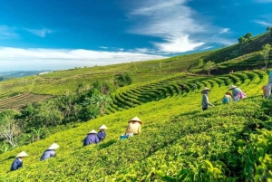 Da Lat: Sunrise Photography & Scenic Morning Tour