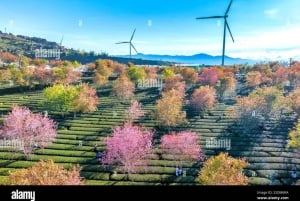 Da Lat: Sunrise Photography & Scenic Morning Tour