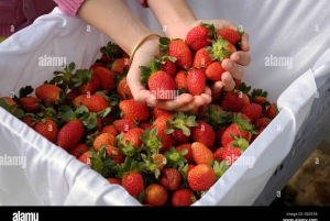 Da Lat: Sunrise Photography & Scenic Morning Tour