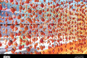 Da Lat: Sunrise Photography & Scenic Morning Tour