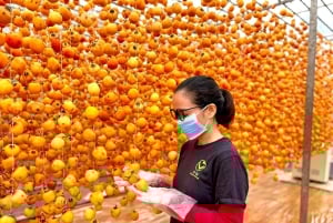 Da Lat: Sunrise Photography & Scenic Morning Tour