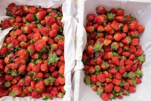 Da Lat: Sonnenaufgangsfotografie & malerische morgendliche Tour