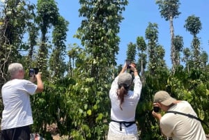 Da Lat: Tur til tre fossefall (Pongour, Datanla, Elephant)