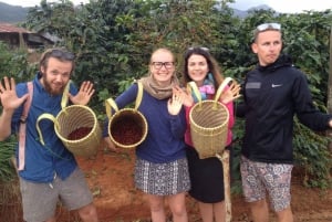 Da Lat: Passeio pelas três cachoeiras (Pongour, Datanla, Elephant)