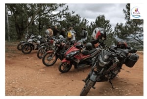 Da Lat: Waterfalls, Farms & Pagoda Easy Rider Motorbike Tour