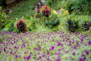 Дананг: 2-дневный тур «Небесные врата Донг Джанг» с питанием