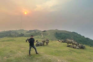 Easy Rider Motorbike Tour via Hai Van Pass: Hue/DaNang/HoiAn