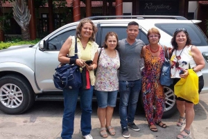 Da Nang Airport to Hue by Private Car with Private Driver
