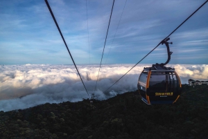 Da Nang: Ba Na Hills and Golden Bridge Cable Car Ticket