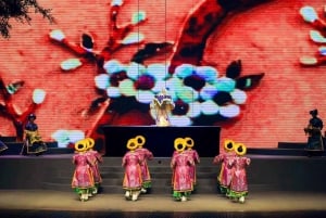 Da Nang: Sightseeing i staden med charmig Da Nang-show