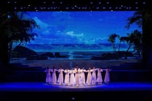Da Nang: Sightseeing i staden med charmig Da Nang-show