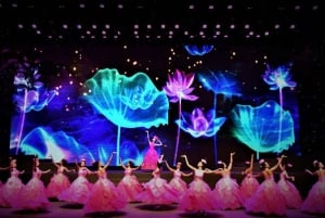 Da Nang: Sightseeing i staden med charmig Da Nang-show