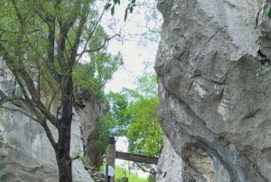 Da Nang: Sightseeing i staden med charmig Da Nang-show