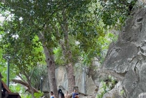 Da Nang: Sightseeing i staden med charmig Da Nang-show