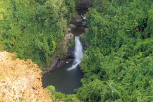 Da Nang: excursión a la Puerta del Cielo de Dong Giang con almuerzo incluido.