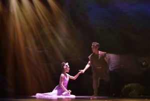 Da Nang: Han-joen illallisristeily ja Tiên Sa -esitys