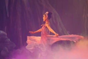 Da Nang: Han-joen illallisristeily ja Tiên Sa -esitys