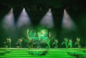 Da Nang: Han-joen illallisristeily ja Tiên Sa -esitys