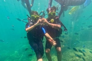 Da Nang/Hoi An: Cham Island Speedboat Tour with Snorkeling
