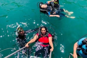 Da Nang/Hoi An: Cham Island Speedboat Tour with Snorkeling