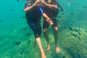 Da Nang/Hoi An: Cham Island Speedboat Tour med snorkling