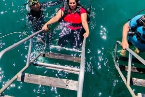 Da Nang/Hoi An: Cham Island Speedboat Tour med snorkling