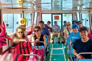 Da Nang/Hoi An: Cham Island Speedboat Tour med snorkling