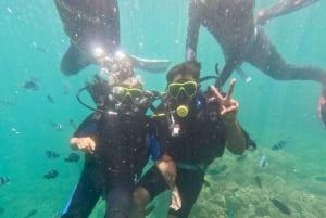 Da Nang/Hoi An: Cham Island Speedboat Tour med snorkling