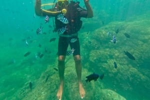 Da Nang/Hoi An: Cham Island Speedboat Tour med snorkling