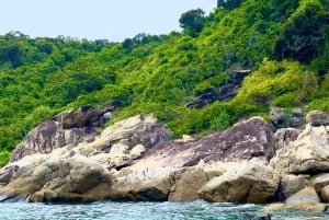 Da Nang/Hoi An: Cham Island Speedboat Tour med snorkling