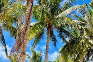 Da Nang/Hoi An: Cham Island Speedboat Tour med snorkling