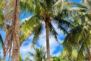 Da Nang/Hoi An: Cham Island Speedboat Tour med snorkling