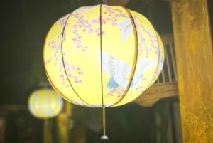 Дананг/Хойан: кокосовая лодка-корзина и вечерняя экскурсия по Хойану