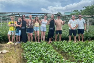 Da Nang: Hoi An, Da Nang, & Bà Nà Hills 4-Day Private Tour