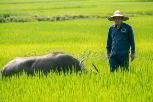 Đà Nẵng : visite privative de 4 jours à Hội An, Đà Nẵng et Bà Nà Hills
